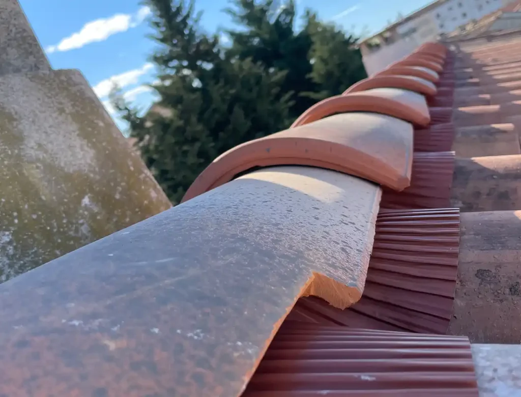 Vue rapprochée de tuiles en terre cuite disposées en rangée, avec des faîtières rouges après un changement de faîtage. Un avant-toit en plastique marron borde le toit, tandis que des arbres et un bâtiment sont flous dans l'arrière-plan partiellement nuageux.